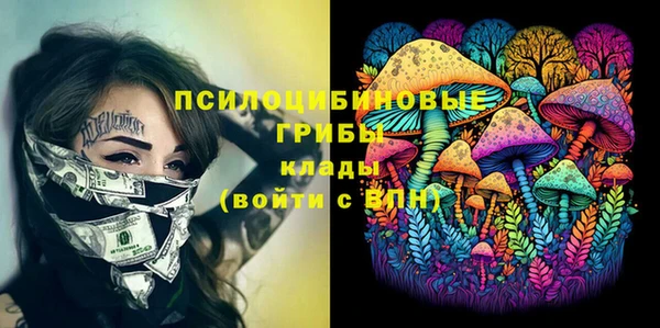 СК Горняк