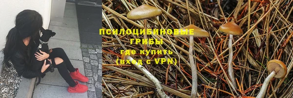 мет Вяземский