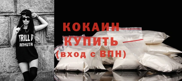 шишки Вязьма