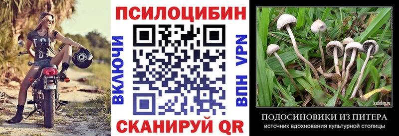 Купить закладки Североуральск Галлюциногенные грибы Cubensis